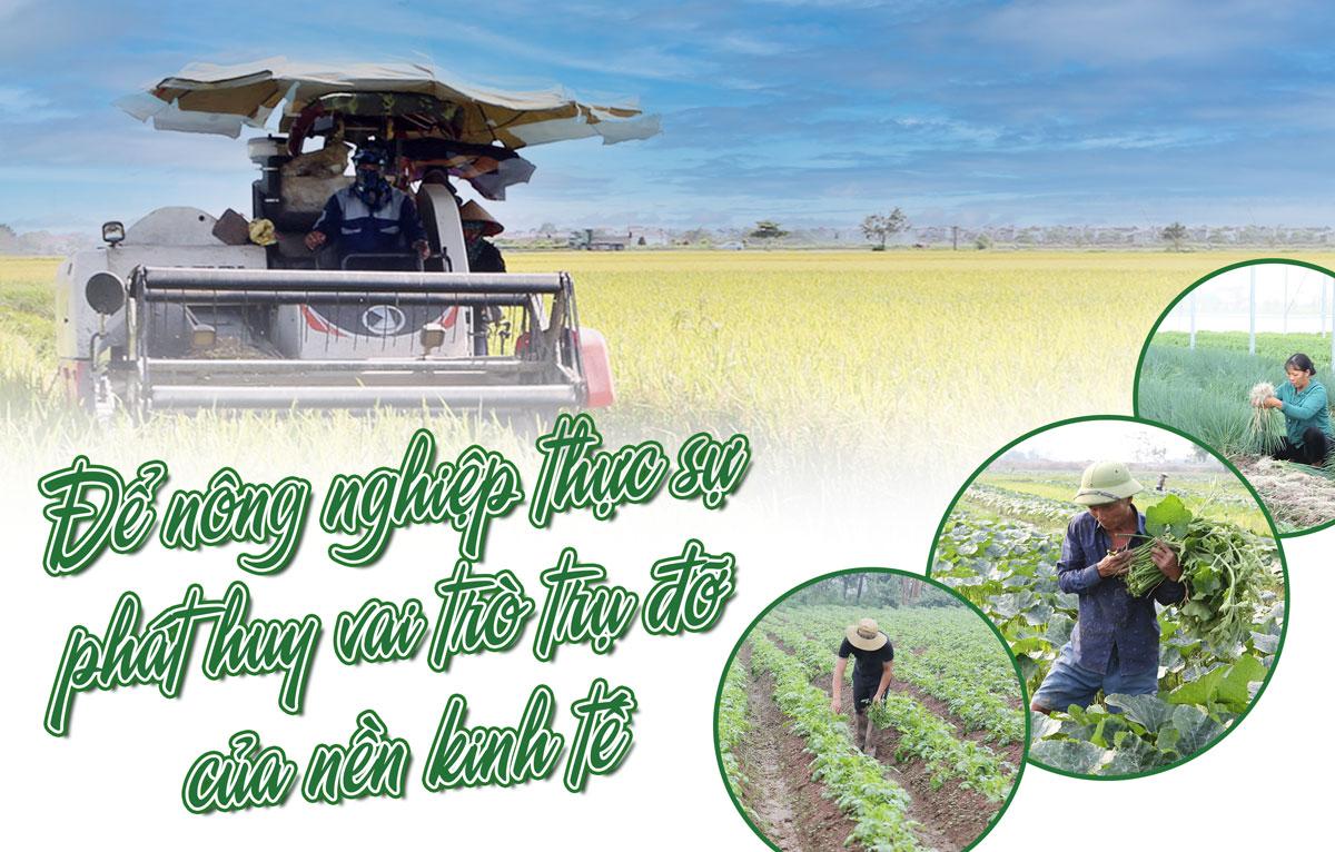 Để nông nghiệp thực sự phát huy vai trò trụ đỡ của nền kinh tế