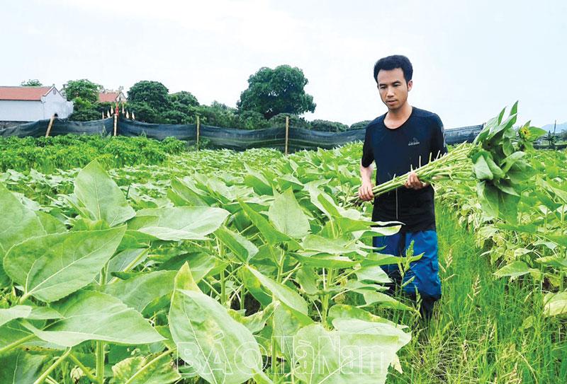 Phấn đấu đến cuối năm 2025, tỷ lệ hộ nghèo toàn tỉnh giảm dưới 1%