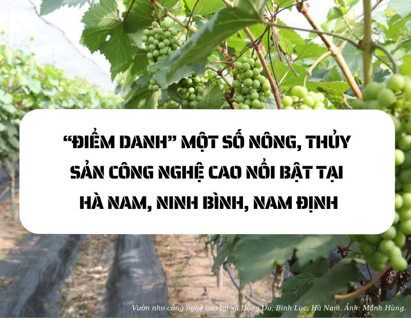 "Điểm danh" một số nông, thủy sản công nghệ cao nổi bật tại Hà Nam, Ninh Bình, Nam Định