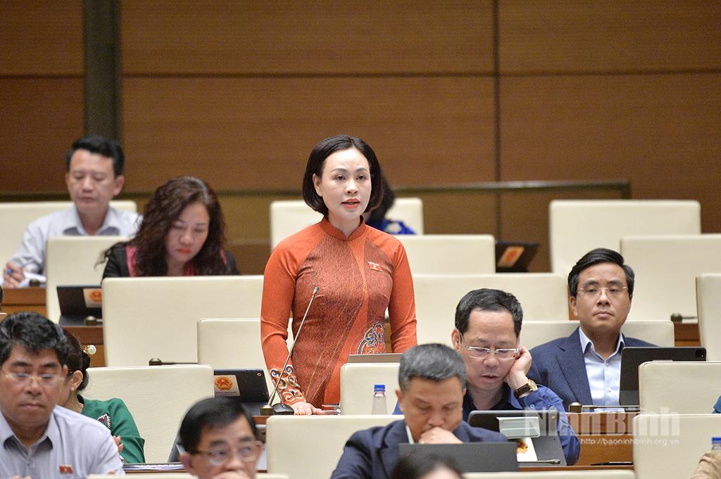 Đại biểu Trần Thị Hồng Thanh, Tỉnh uỷ viên, Phó Trưởng Đoàn ĐBQH tỉnh tham gia thảo luận tại hội trường về tình hình kinh tế-xã hội.