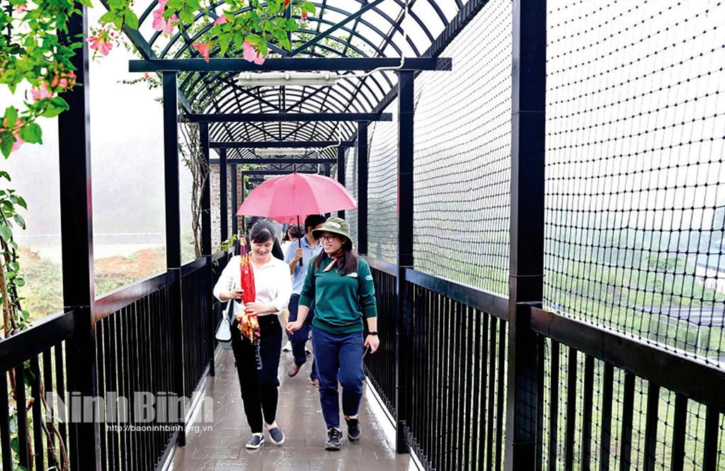 Cơ sở bảo tồn gấu Ninh Bình - Điểm đến thú vị dành cho người yêu thiên nhiên và động vật hoang dã. Ảnh: Minh Đường