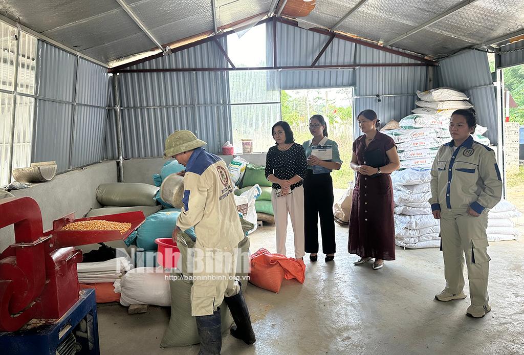 Các đại biểu tham quan mô hình sản xuất tại HTX.