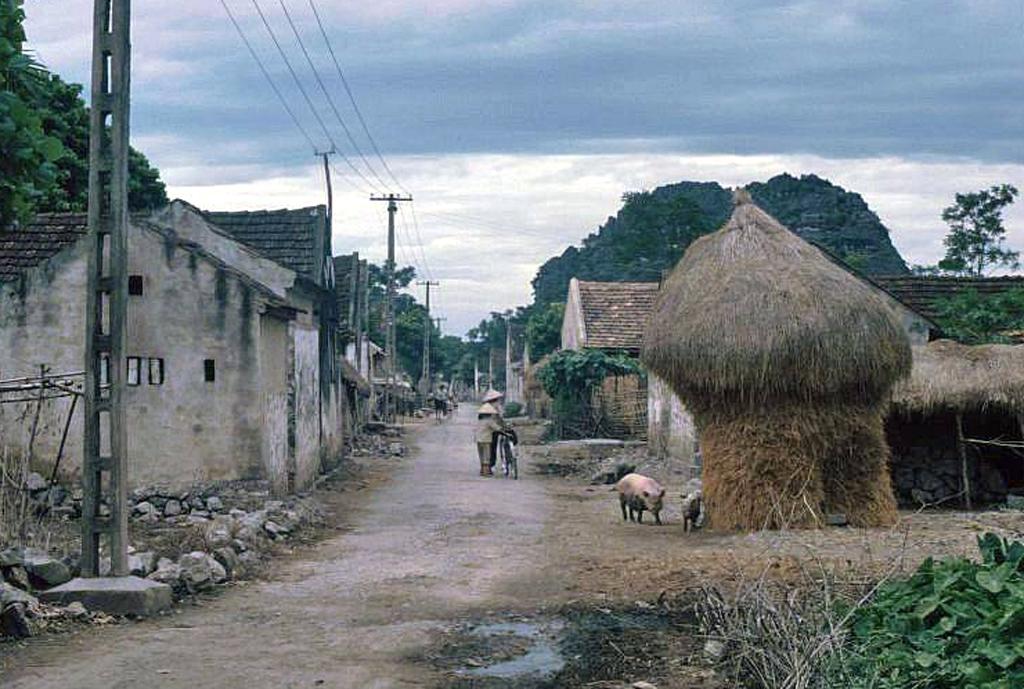 Làng quê Ninh Bình xưa. Ảnh tư liệu