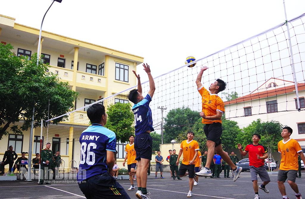 Các đội tuyển tham gia thi đấu môn bóng chuyền.