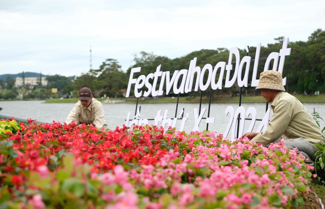 Không gian hoa bên Hồ Xuân Hương chuẩn bị cho Festival hoa Đà Lạt lần thứ X.