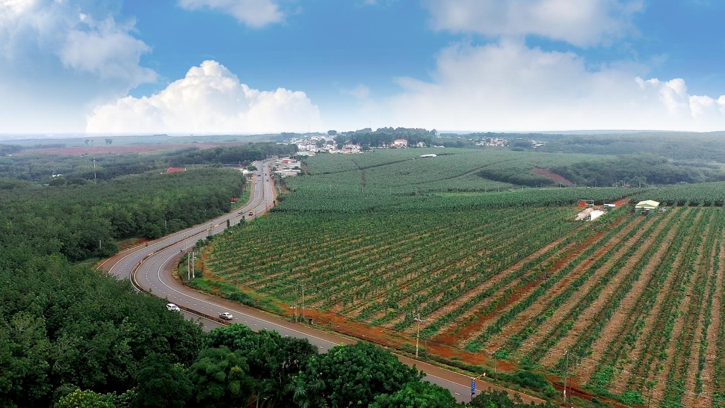 Mua nha truoc 30 tuoi o TP.HCM, Ha Noi, giac mo co xa voi? hinh anh 1