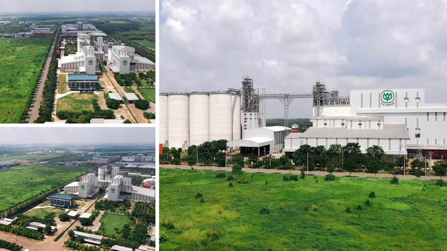 Mua nha truoc 30 tuoi o TP.HCM, Ha Noi, giac mo co xa voi? hinh anh 1