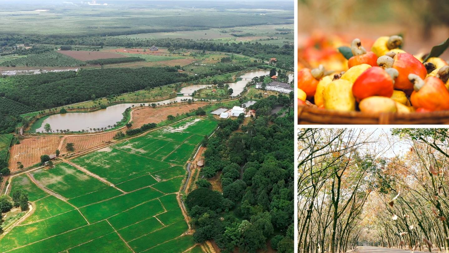 Mua nha truoc 30 tuoi o TP.HCM, Ha Noi, giac mo co xa voi? hinh anh 1