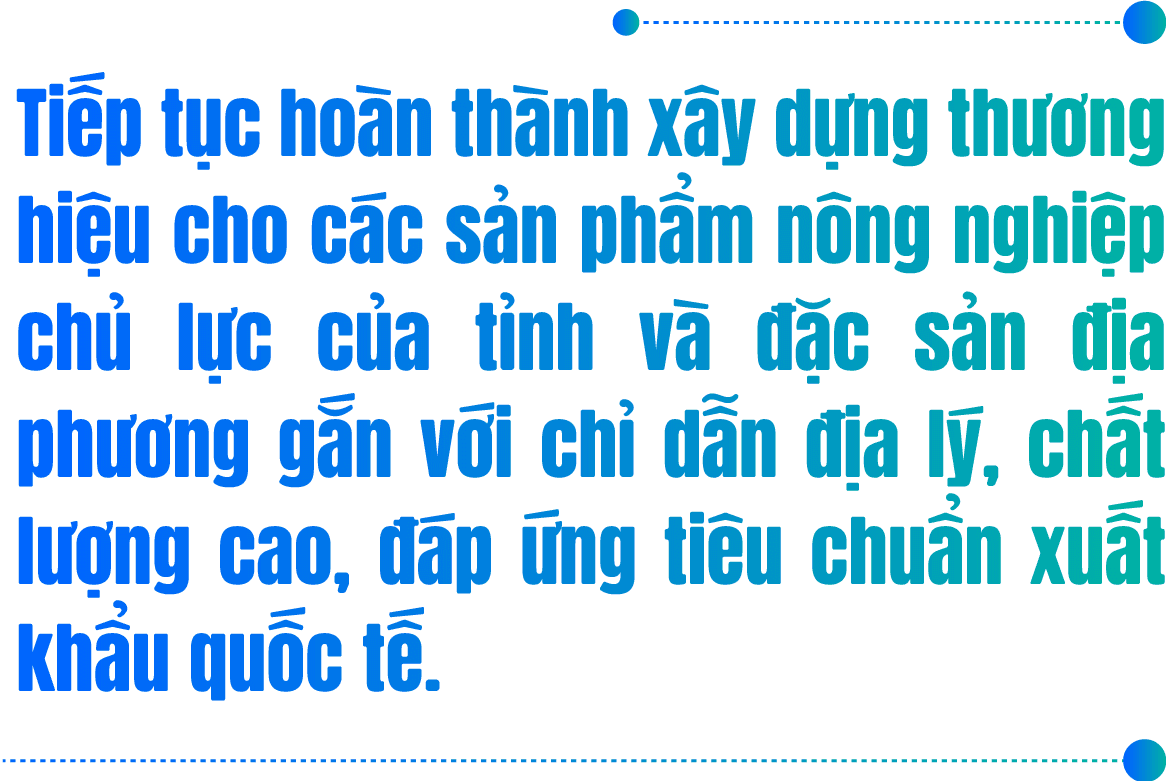 Mua nha truoc 30 tuoi o TP.HCM, Ha Noi, giac mo co xa voi? hinh anh 6