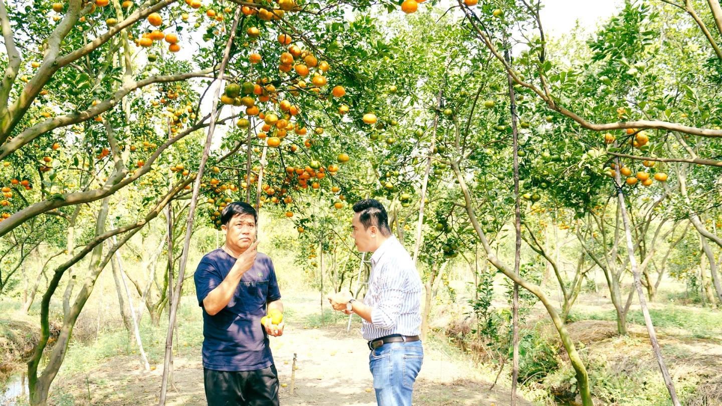 Mua nha truoc 30 tuoi o TP.HCM, Ha Noi, giac mo co xa voi? hinh anh 1