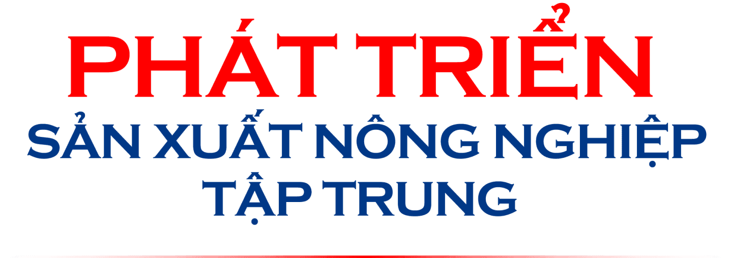 Mua nha truoc 30 tuoi o TP.HCM, Ha Noi, giac mo co xa voi? hinh anh 2