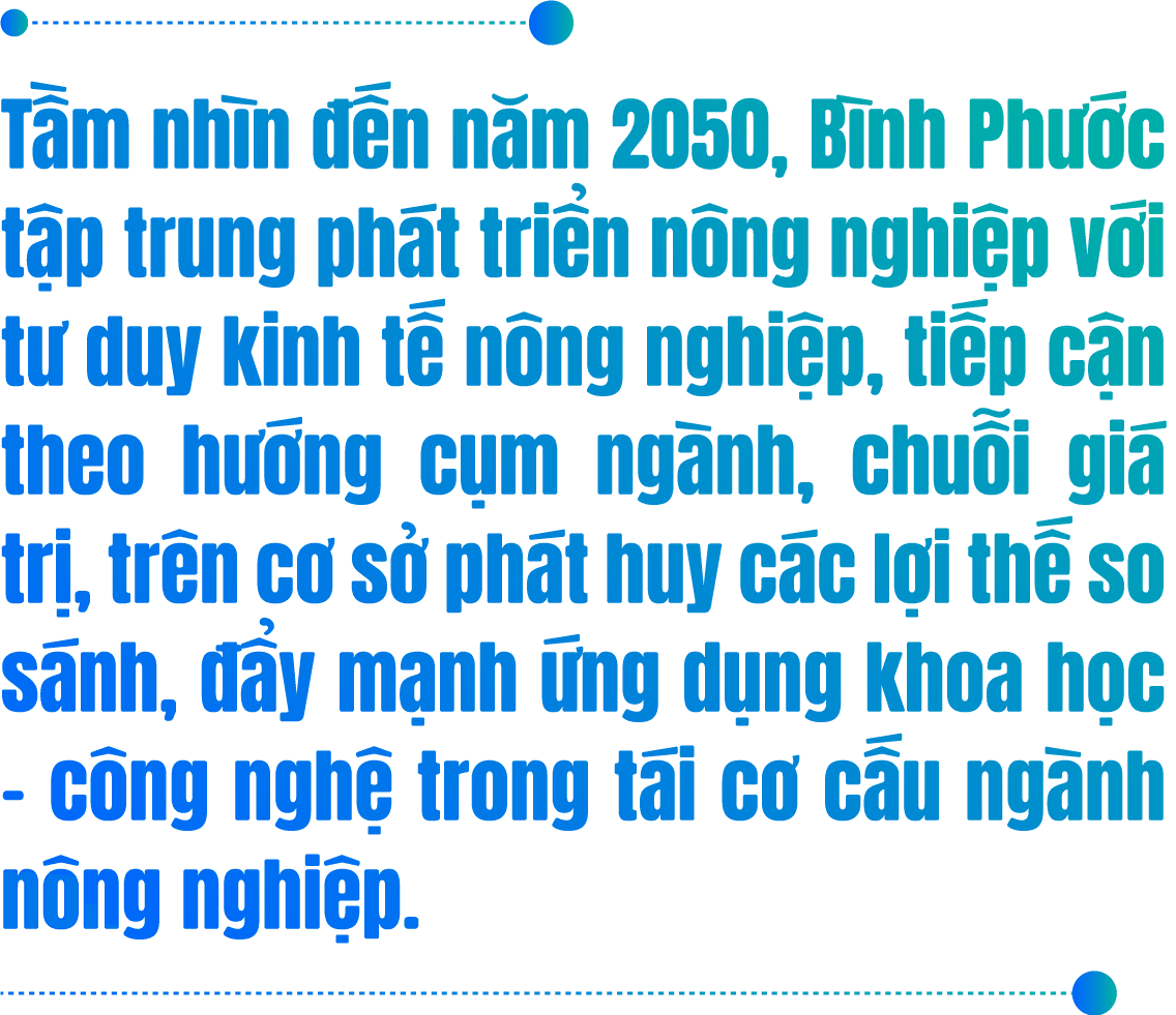 Mua nha truoc 30 tuoi o TP.HCM, Ha Noi, giac mo co xa voi? hinh anh 4