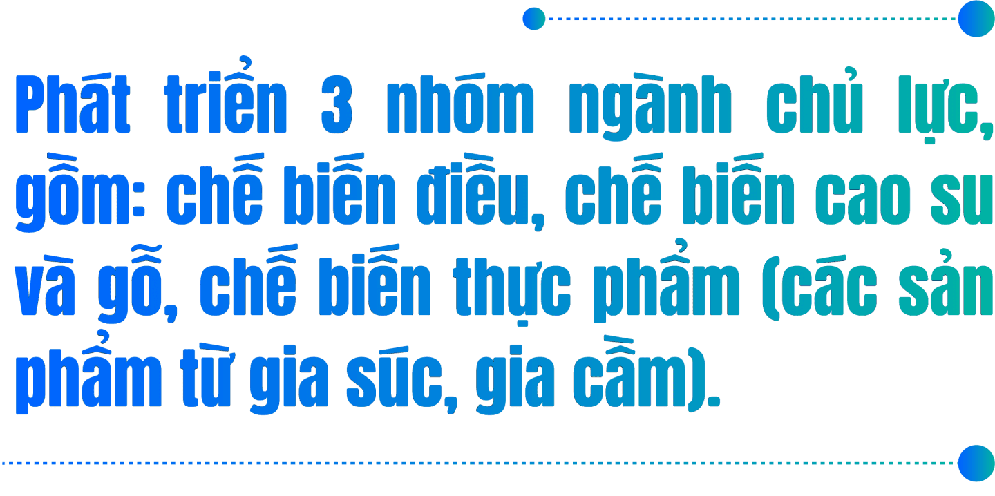 Mua nha truoc 30 tuoi o TP.HCM, Ha Noi, giac mo co xa voi? hinh anh 6