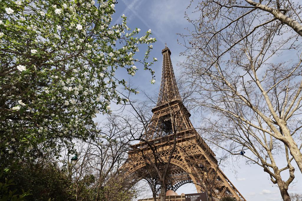 Tháp Eiffel tại thủ đô Paris. Ảnh: THX/TTXVN