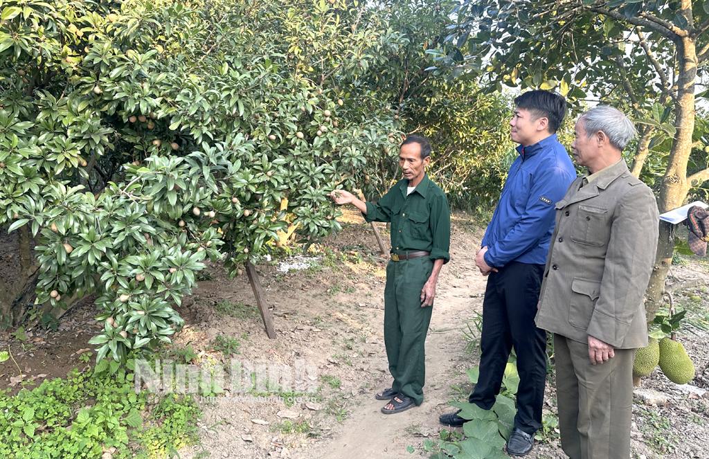 Tham quan mô hình trồng hồng xiêm tại gia đình ông Nguyễn Giang Sơn.