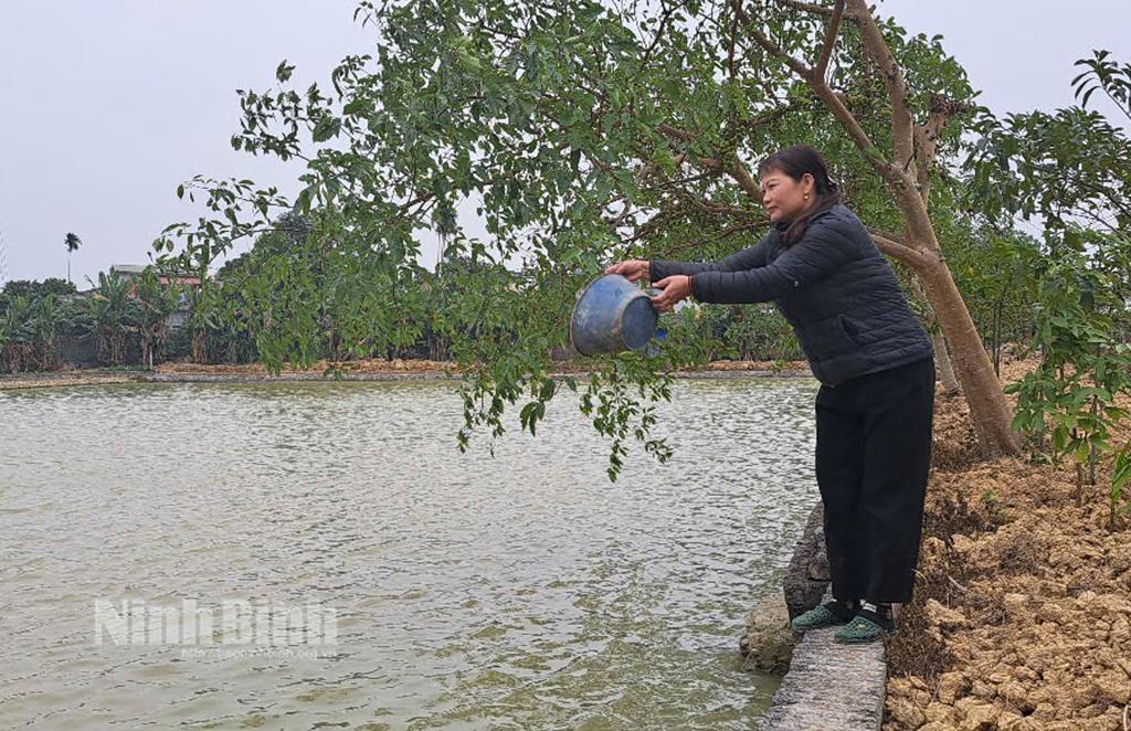 Chị Trần Thị Luyến, hội viên Chi hội Phụ nữ thôn Ngọc Thự, xã Gia Tường, Nho Quan, là tấm gương phụ nữ vượt khó trong lao động sản xuất, phát triển mô hình chăn nuôi tổng hợp cho thu nhập hơn 300 triệu đồng mỗi năm.