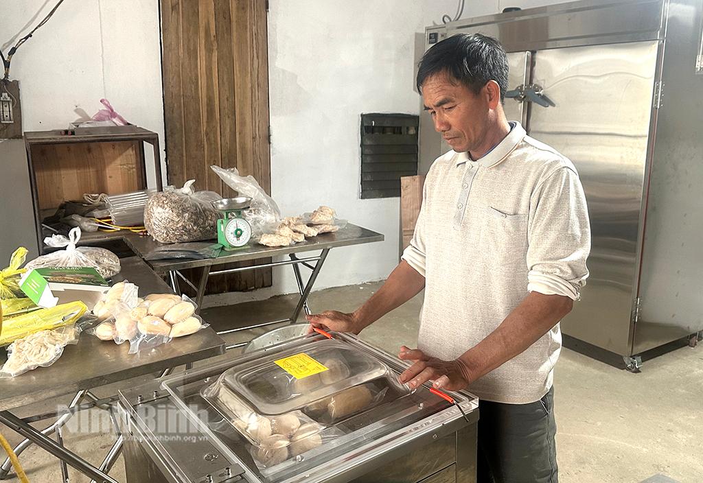 Hút chân không củ sen tươi tại HTXsản xuất và chế biến nông sản Mai Anh.