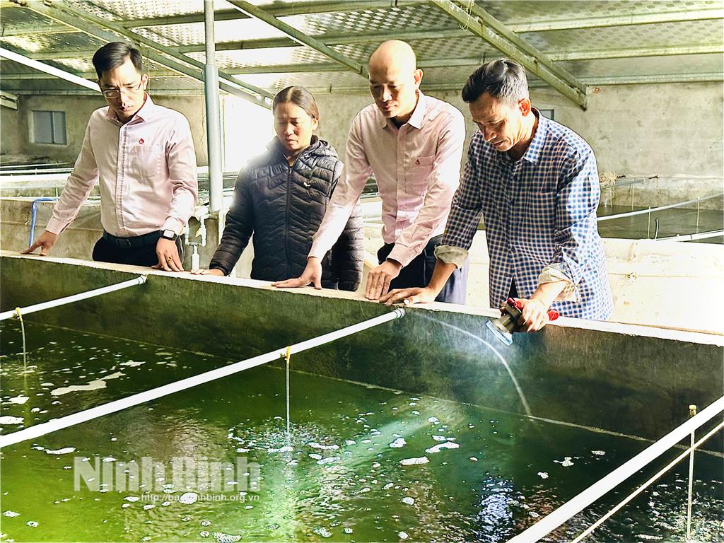 Cán bộ Phòng giao dịch Ngân hàng CSXH huyện Kim Sơn thăm mô hình sản xuất ngao, hàu giống của ông Trần Văn Tùy (xóm 5, xã Kim Hải).