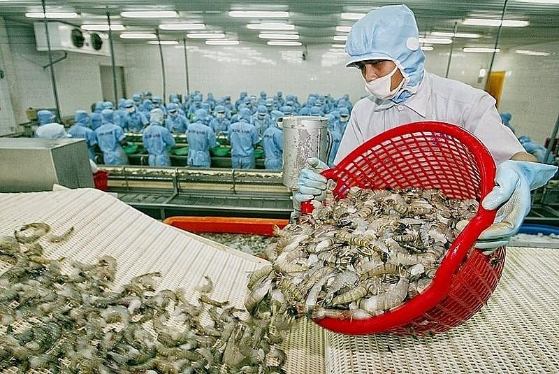 Vượt Nhật Bản, Việt Nam vững vị trí thứ 5 xuất khẩu thủy sản tại Singapore. Ảnh minh họa