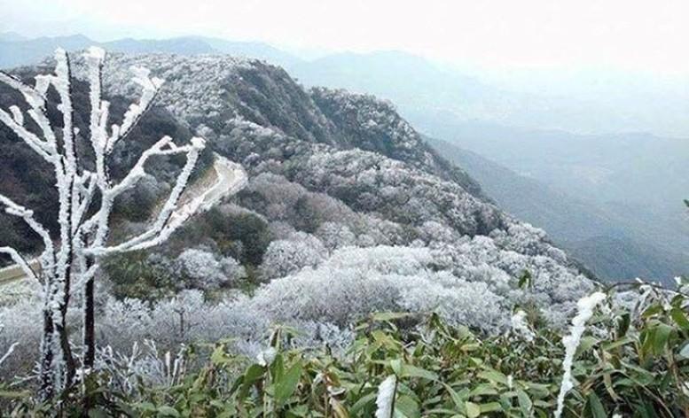 Dịp Tết Nguyên đán Ất Tỵ, vùng núi cao xảy ra băng giá và sương muối.