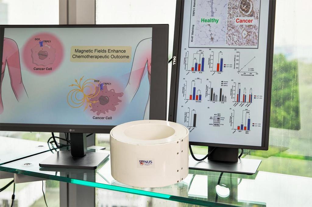 Sử dụng xung từ ngắn để tiêu diệt các tế bào ung thư có thể làm tăng khả năng hấp thụ thuốc hóa trị doxorubicin. Ảnh: https://www.straitstimes.com/