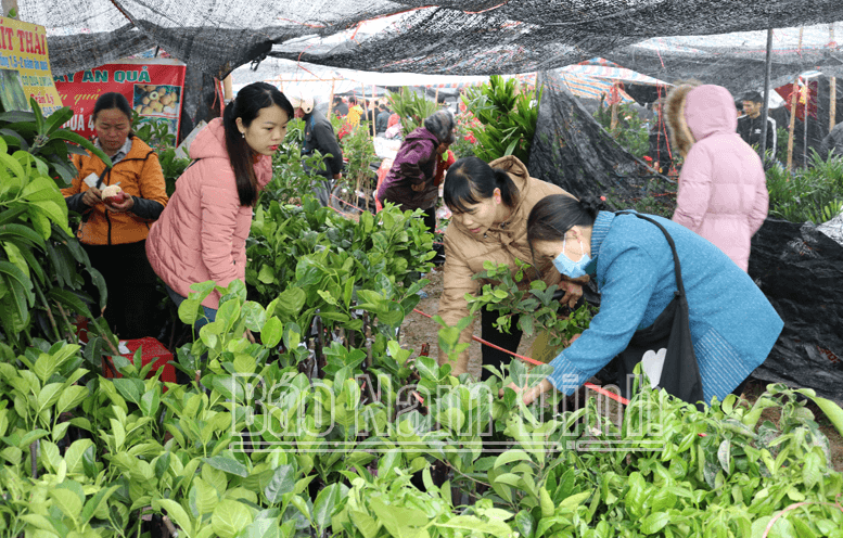 Người dân chọn mua các sản phẩm cây giống tại chợ Viềng Xuân Vụ Bản.