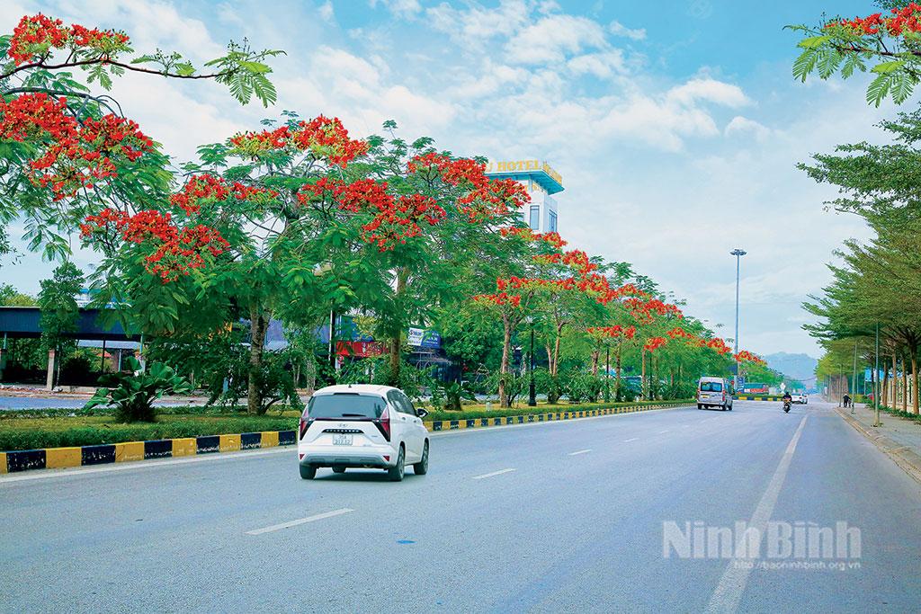 Cây xanh được trồng và chăm sóc xanh tốt trên các tuyến đường thuộc Khu đô thị Xuân Thành (thành phố Hoa Lư). Ảnh: Anh Tuấn