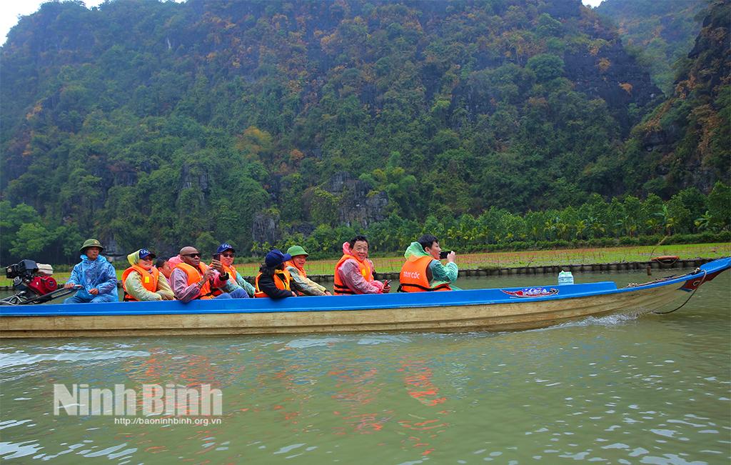 Đoàn tham quan cánh đồng lúa Tam Cốc.