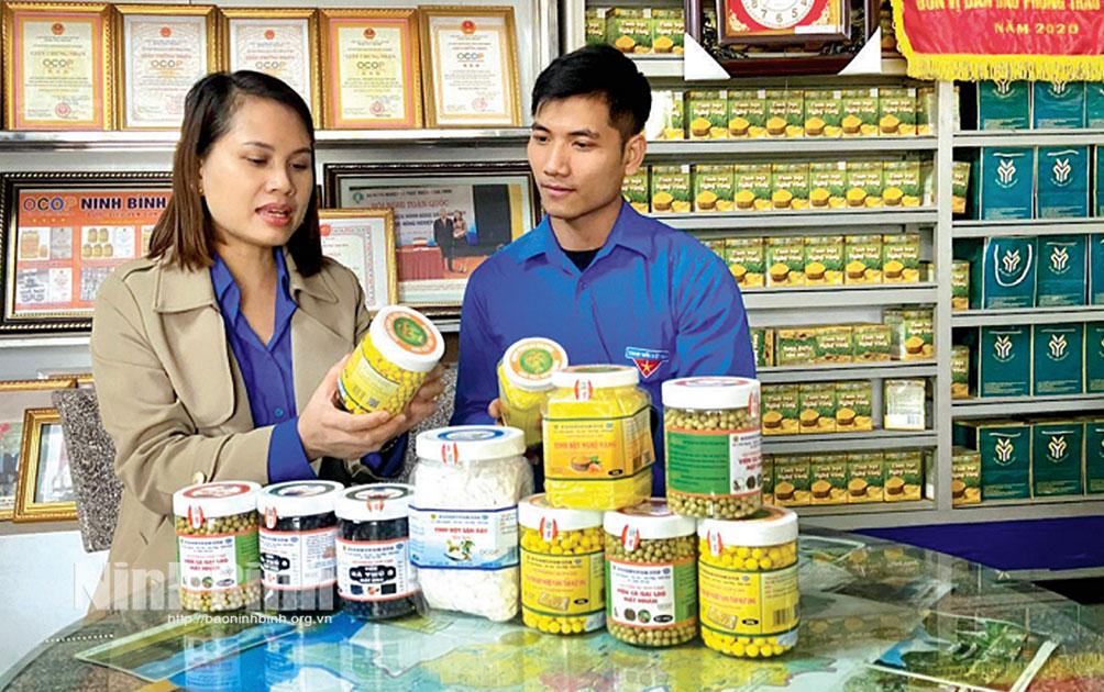 HTX sản xuất và tiêu thụ dược liệu Yên Sơn (thành phố Tam Điệp) gắn tem truy xuất nguồn gốc, nâng cao giá trị sản phẩm.