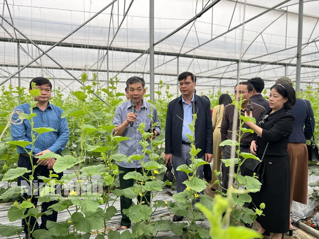 Đoàn tham quan mô hình trồng dưa trong nhà kính của gia đình ông Tống Viết Vinh xã Khánh Thượng (Yên Mô).