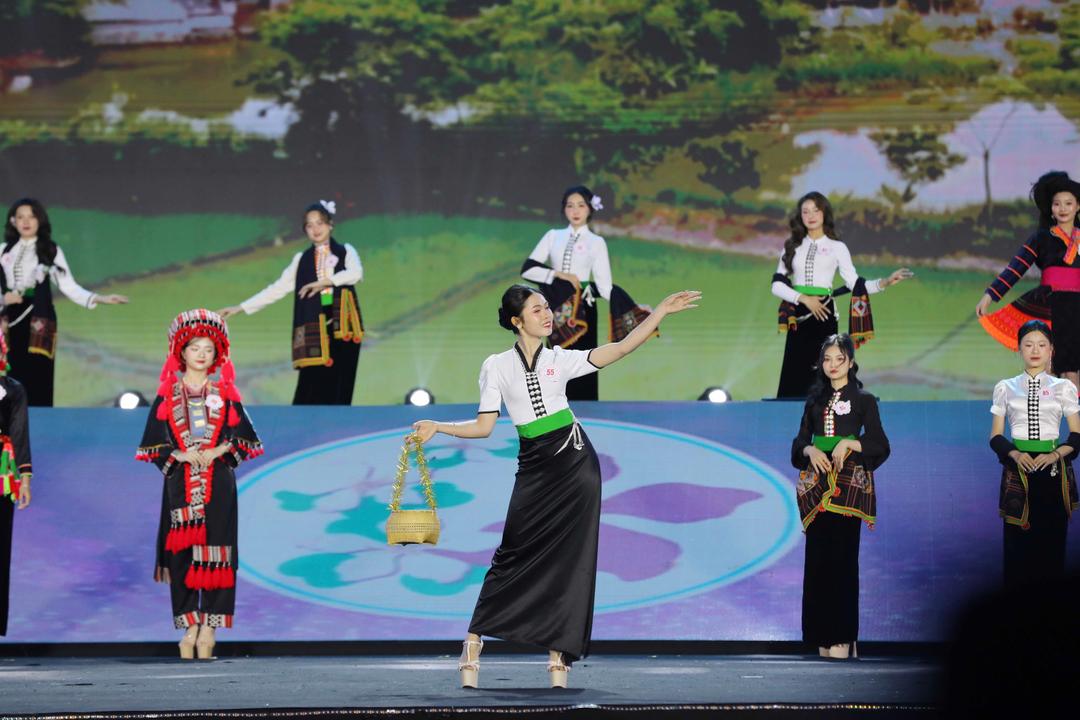 Phần trình diễn của các thí sinh tham gia cuộc thi.