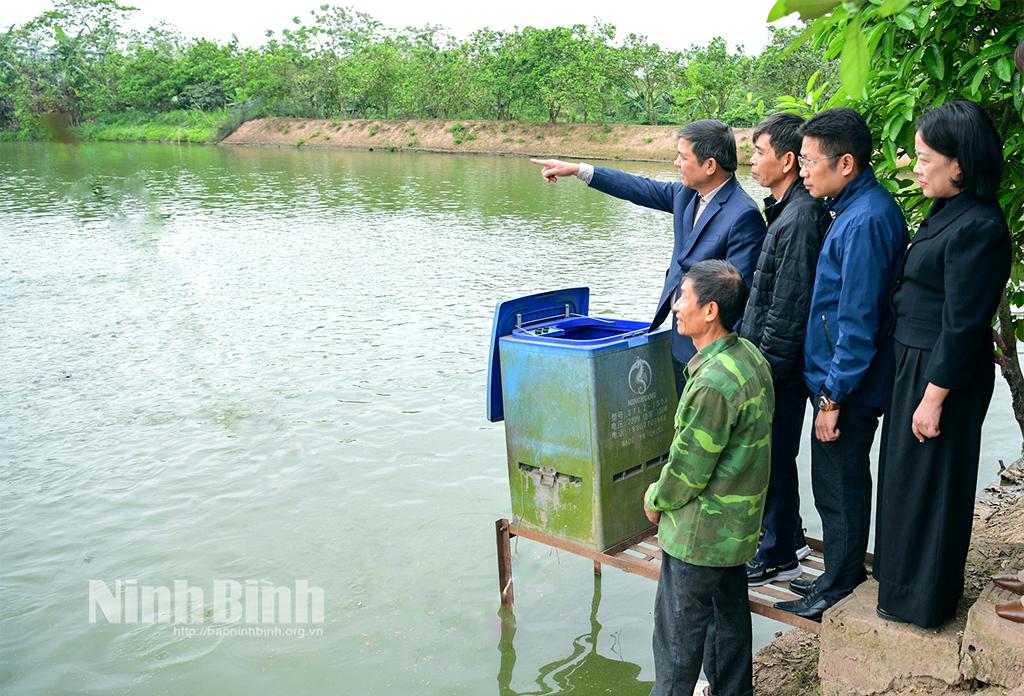 Lãnh đạo Hội Nông dân tỉnh thăm quan mô hình nuôi gà và cá của gia đình hội viên tại phường Ninh Giang (thành phố Hoa Lư).