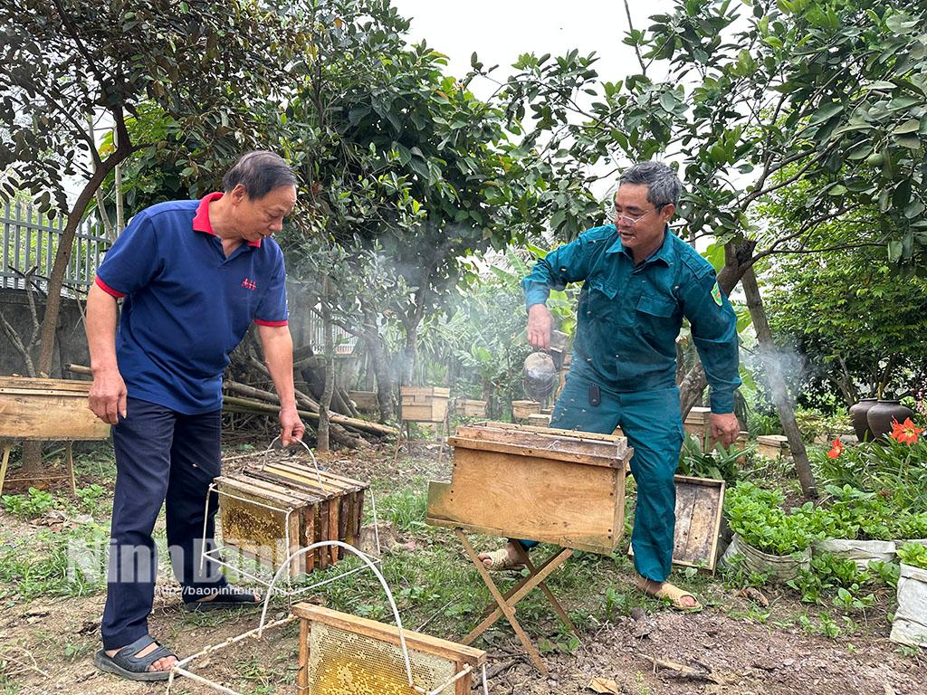 Người nuôi ong ở xã Cúc Phương thu hoạch mật.