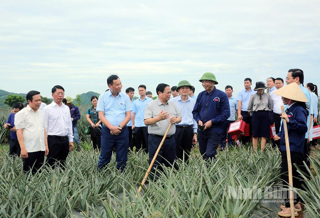 Thủ tướng Chính phủ Phạm Minh Chính và các đồng chí lãnh đạo tỉnh Ninh Bình thăm vùng nguyên liệu của Công ty Cổ phần Thực phẩm xuất khẩu Đồng Giao tại thành phố Tam Điệp.