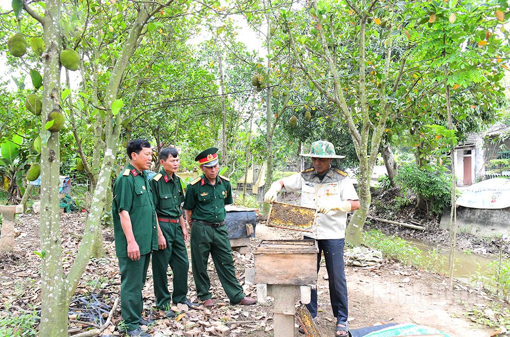 Hội viên cựu chiến binh trên địa bàn huyện Yên Khánh tích cực tham gia các cuộc vận động, phong trào thi đua yêu nước.