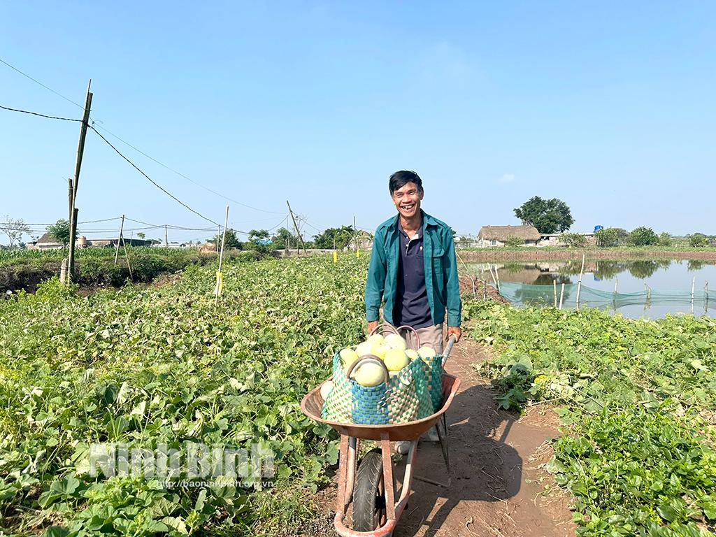 Niềm vui được mùa, được giá của nông dân trồng dưa xã Kim Trung.