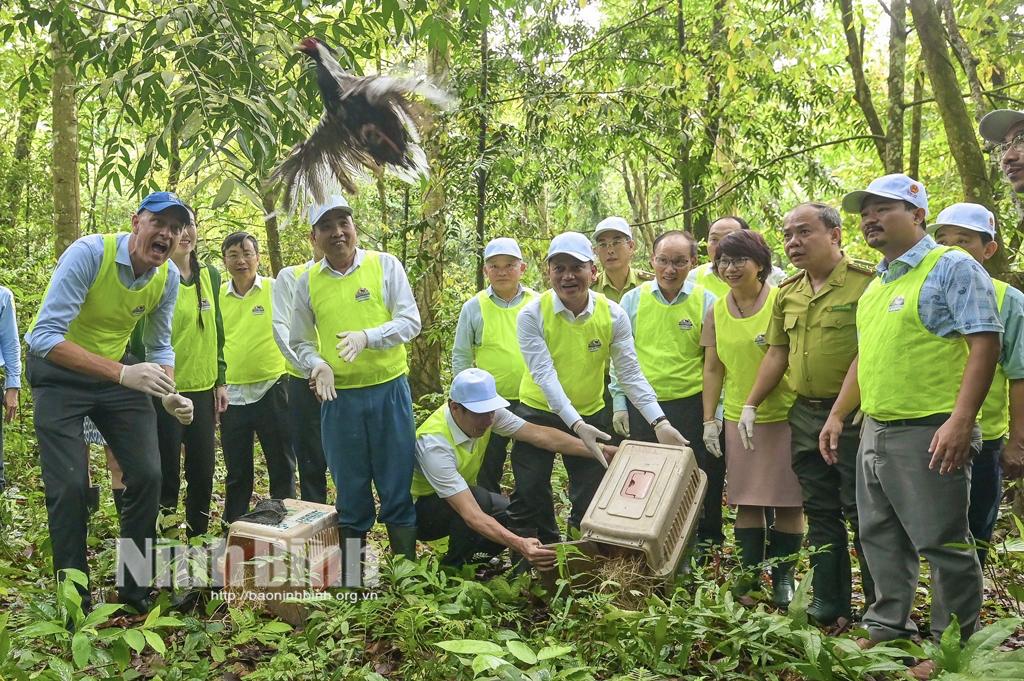 Các đại biểu tham gia hoạt động thả động vật về tự nhiên tại Vườn Quốc gia Cúc Phương.