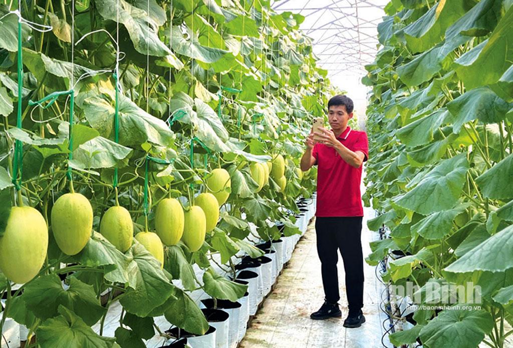 Anh Đinh Văn Hợp, Chủ trang trại dưa lưới ở thôn 3, xã Phú Long (Nho Quan) quảng bá bán sản phẩm dưa trên mạng xã hội.