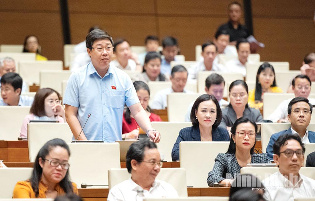 Đại biểu Quốc hội tỉnh Ninh Bình tham gia phát biểu ý kiến tại Hội trường.