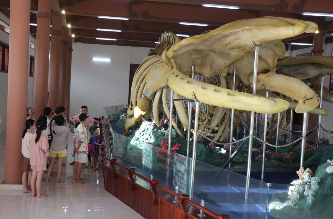 Hai bộ xương cá Ông ở Lý Sơn là sản phẩm du lịch hấp dẫn khách tham quan.