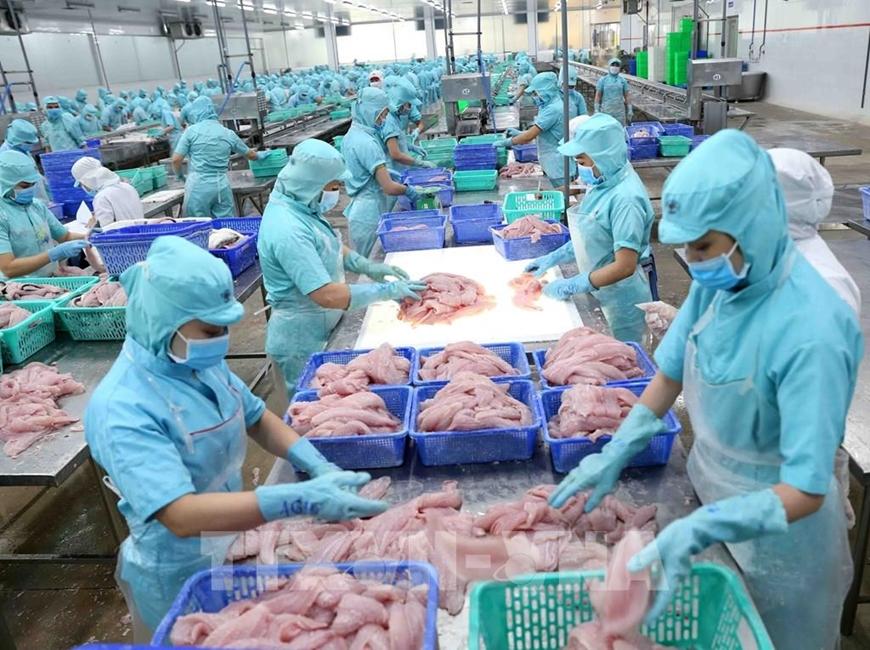 Ảnh minh họa: TTXVN