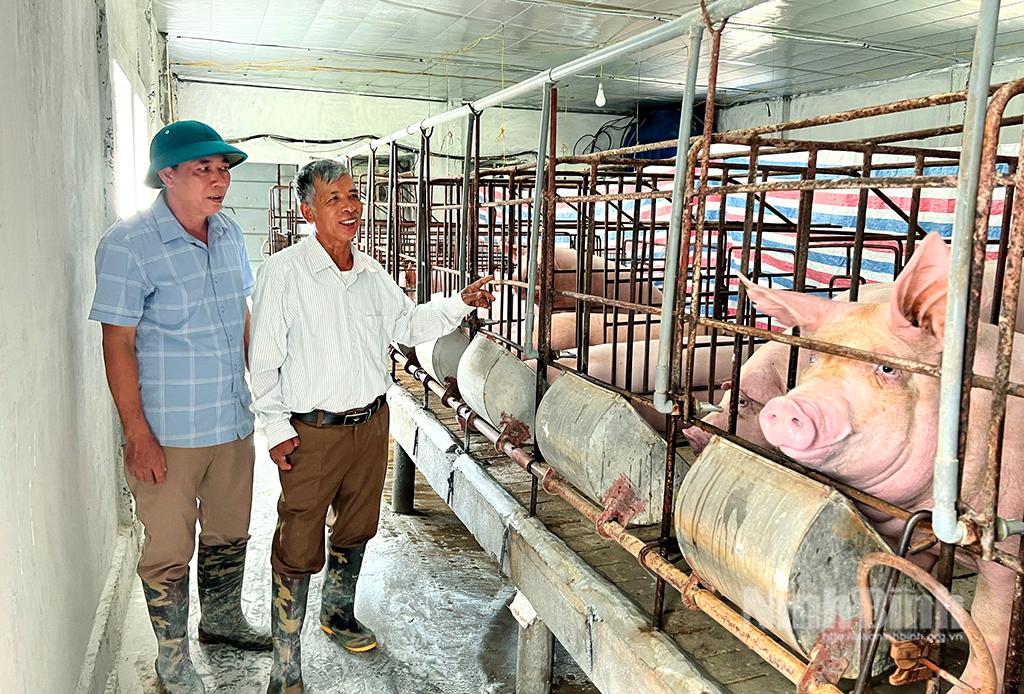 Trang trại kinh tế tổng hợp của cựu chiến binh Quách Văn Thiệp, xã Gia Tường (người mặc áo trắng) cho lợi nhuận cao.