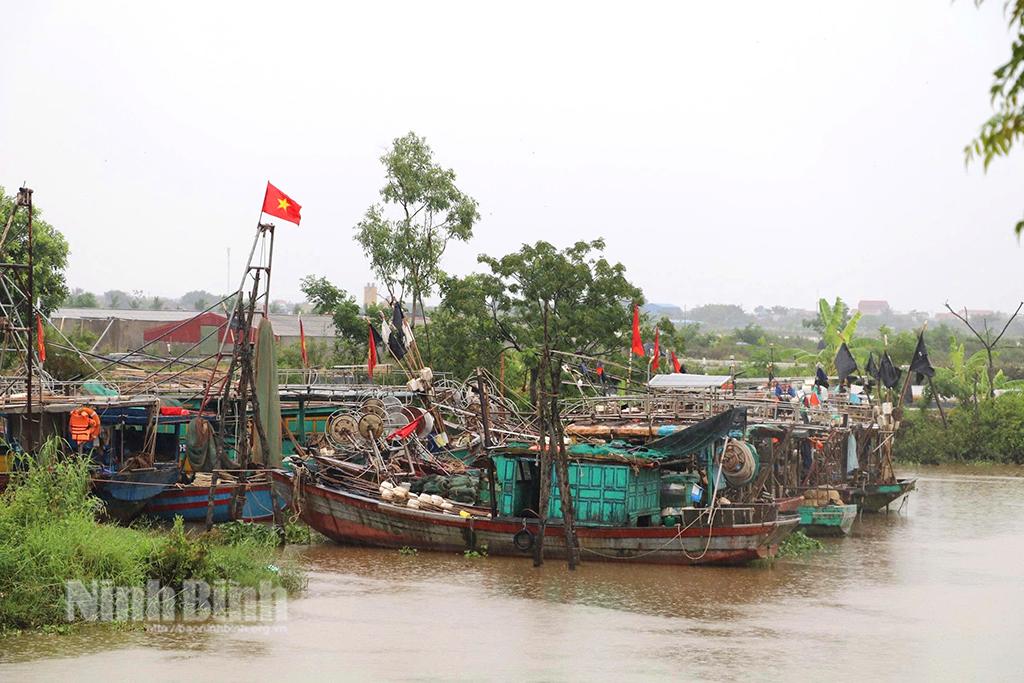 Tàu thuyền đã được đưa về neo đậu, trú tránh an toàn tại Khu cống mới, xã Kim Đông.