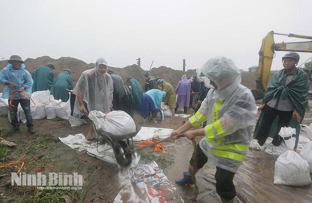Các lực lượng hiệp đồng phường Thiên Trường tham gia chuẩn bị vật tư phòng, chống bão số 3.