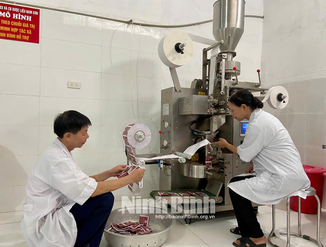 Máy đóng gói theo dây chuyền hiện đại được HTX sản xuất và chế biến dược liệu Nam Sơn sử dụng hiệu quả.