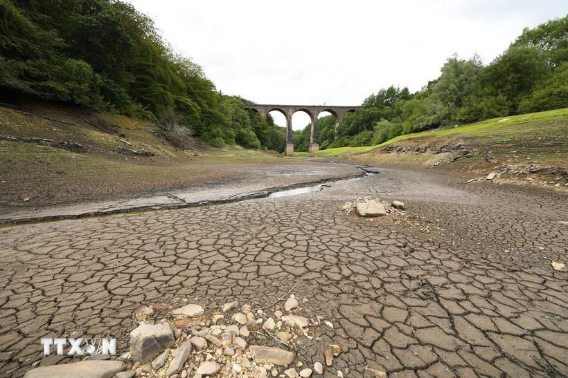 Lòng hồ khô nứt do hạn hán tại Edgworth, tây bắc nước Anh. (Ảnh: AFP/TTXVN)