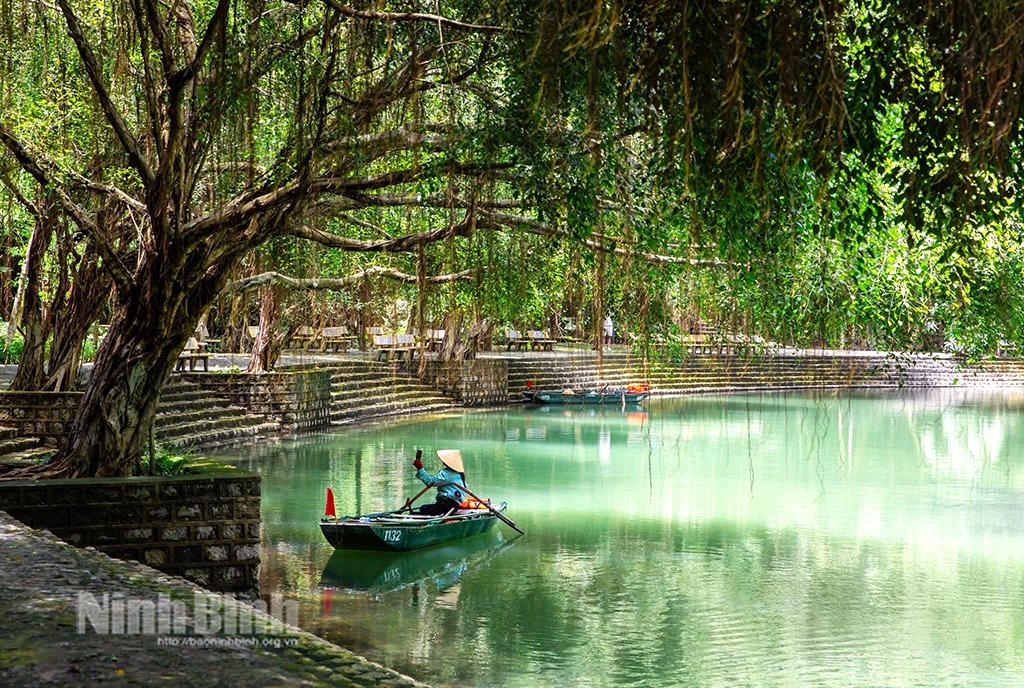 Rong không chỉ góp phần cải tạo, giữ gìn môi sinh mà còn tạo nên cảnh sắc đặc biệt của Tràng An. Ảnh: Ngọc Linh