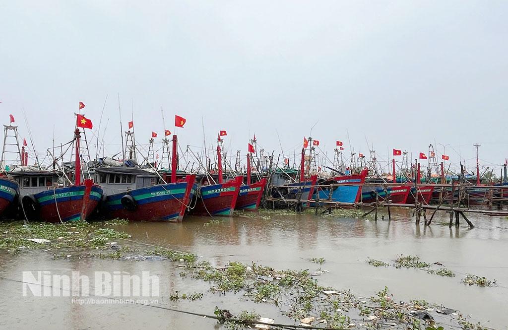 Toàn tỉnh có 630 Giấy phép khai thác thủy sản vùng khơi. Ảnh: Văn Đại