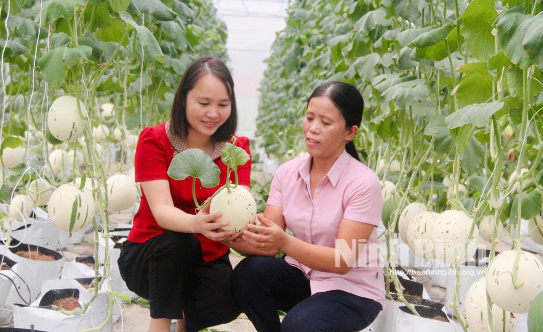 Chị Phạm Thị Mai, xã Đồng Thái (người mặc áo hồng) chia sẻ về mô hình trồng dưa sữa.