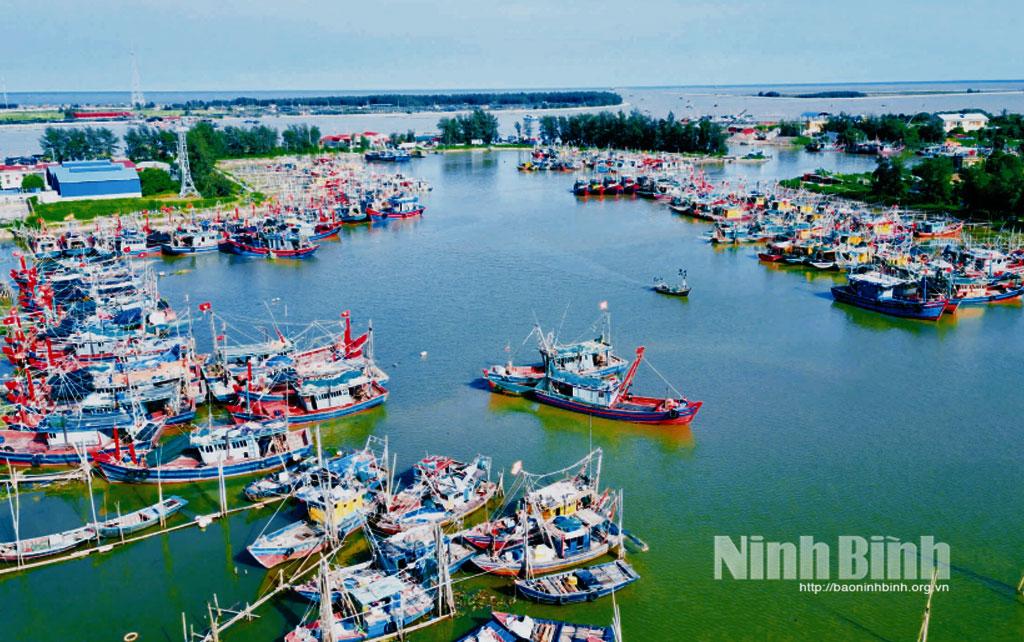 Khu neo đậu tàu thuyền cửa cống Quần Vinh 1, xã Rạng Đông. Ảnh: Ngọc Ánh